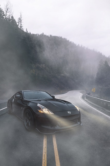 zespół redakcyjny przy biurku z roślinami doniczkowymi